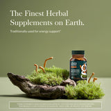 Gaia Herbs Cordyceps Mushroom Extract supplement side view