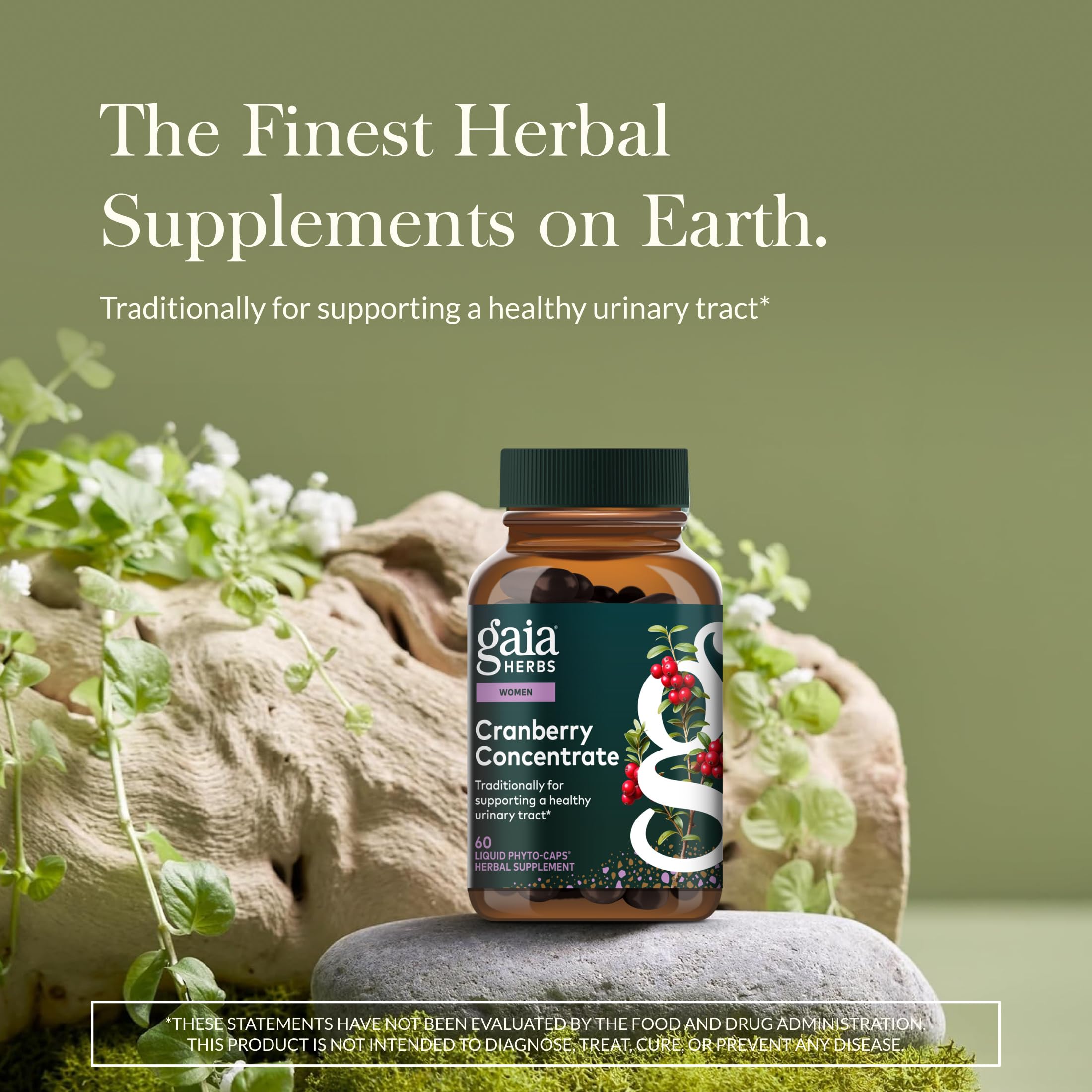 Gaia Herbs Cranberry Concentrate 420mg side view