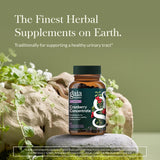 Gaia Herbs Cranberry Concentrate 420mg side view