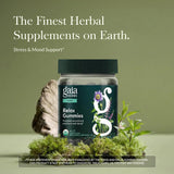 Gaia Herbs daily wellness Gummies packaging side view