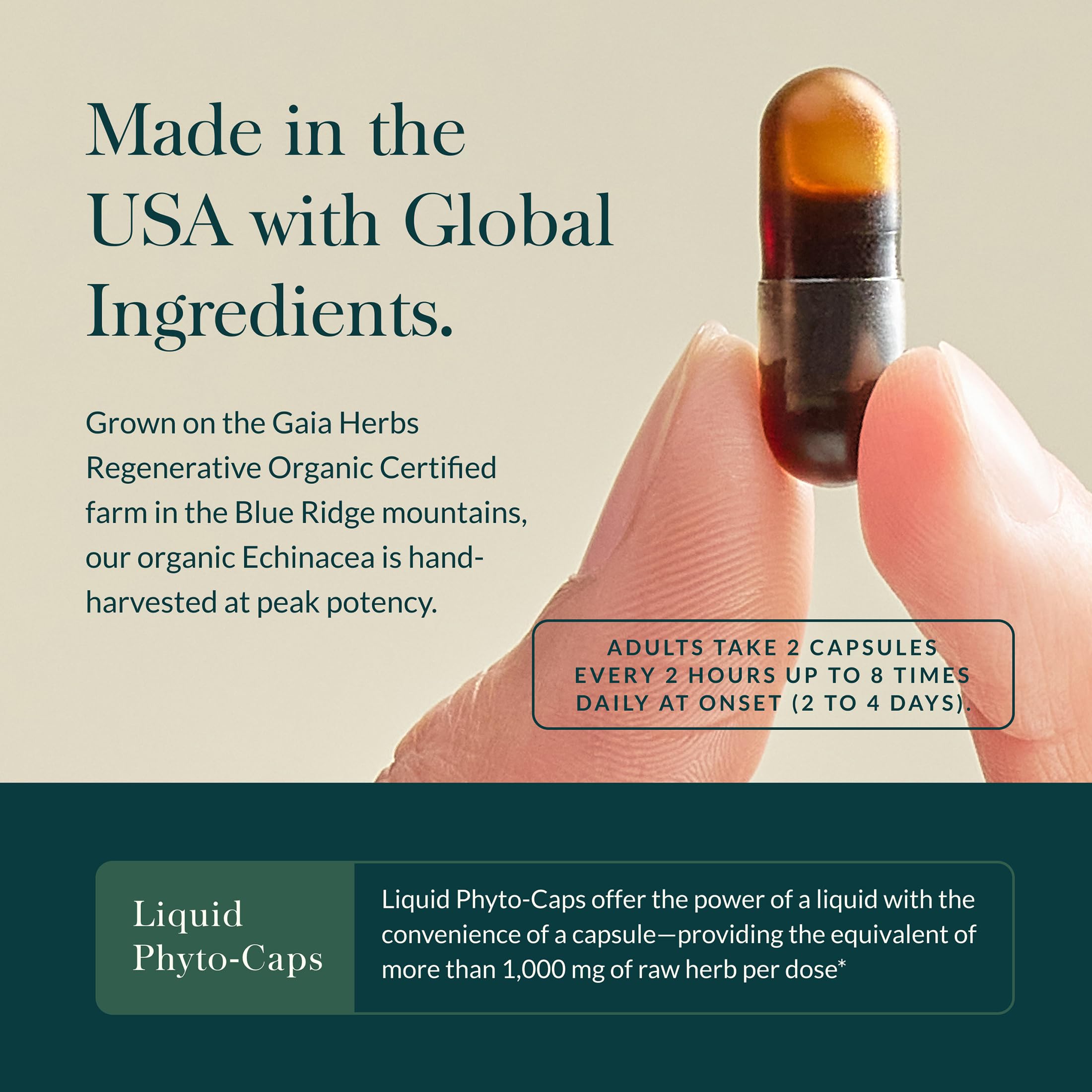 Gaia Herbs Echinacea 91g capsule close-up