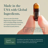 Gaia Herbs Echinacea 91g capsule close-up