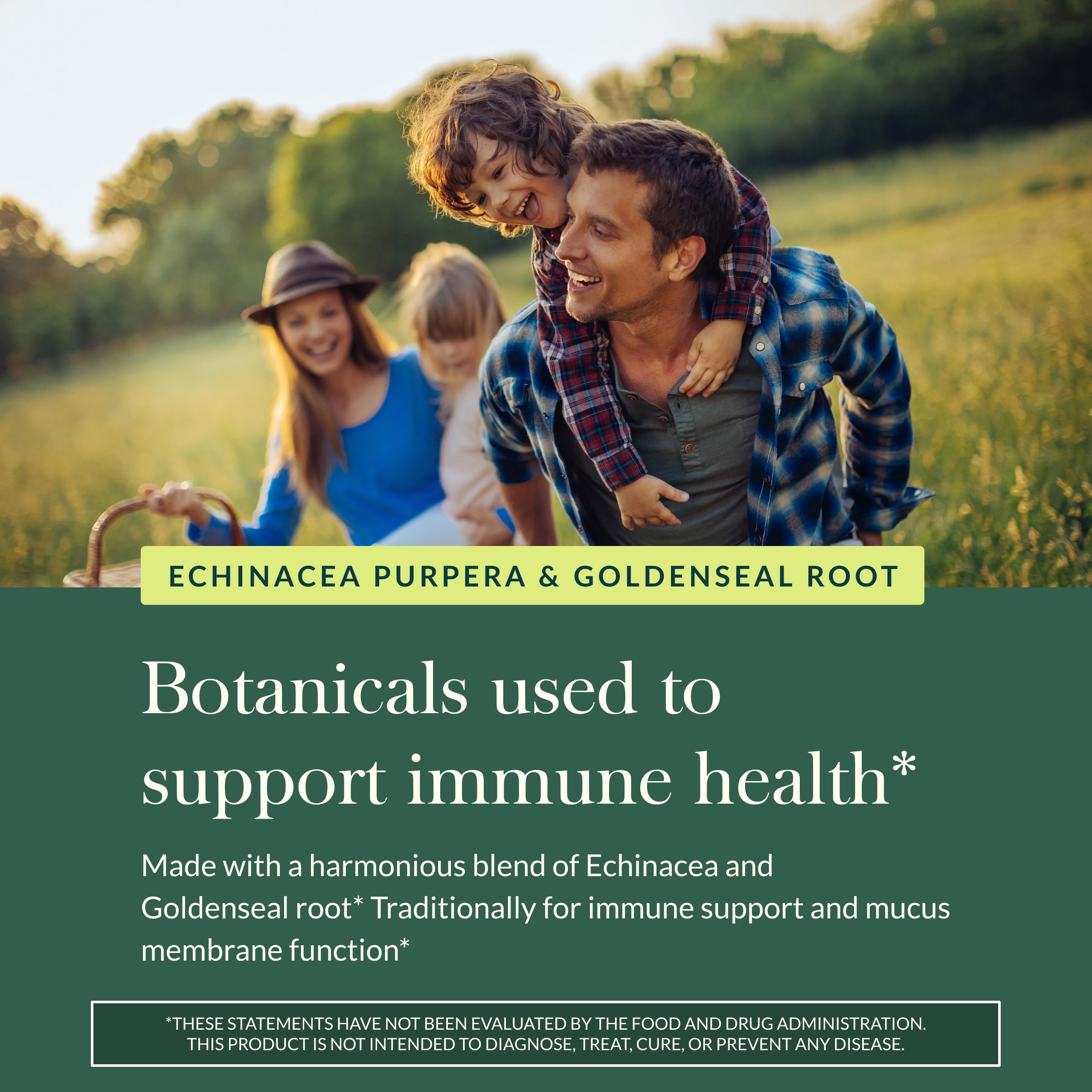 Gaia Herbs Echinacea Goldenseal ingredients list