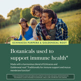 Gaia Herbs Echinacea Goldenseal ingredients list