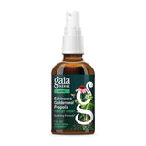 Gaia Herbs Echinacea Throat Spray 82g front view