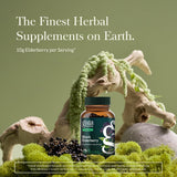 Gaia Herbs Elderberry Capsules bottle side view