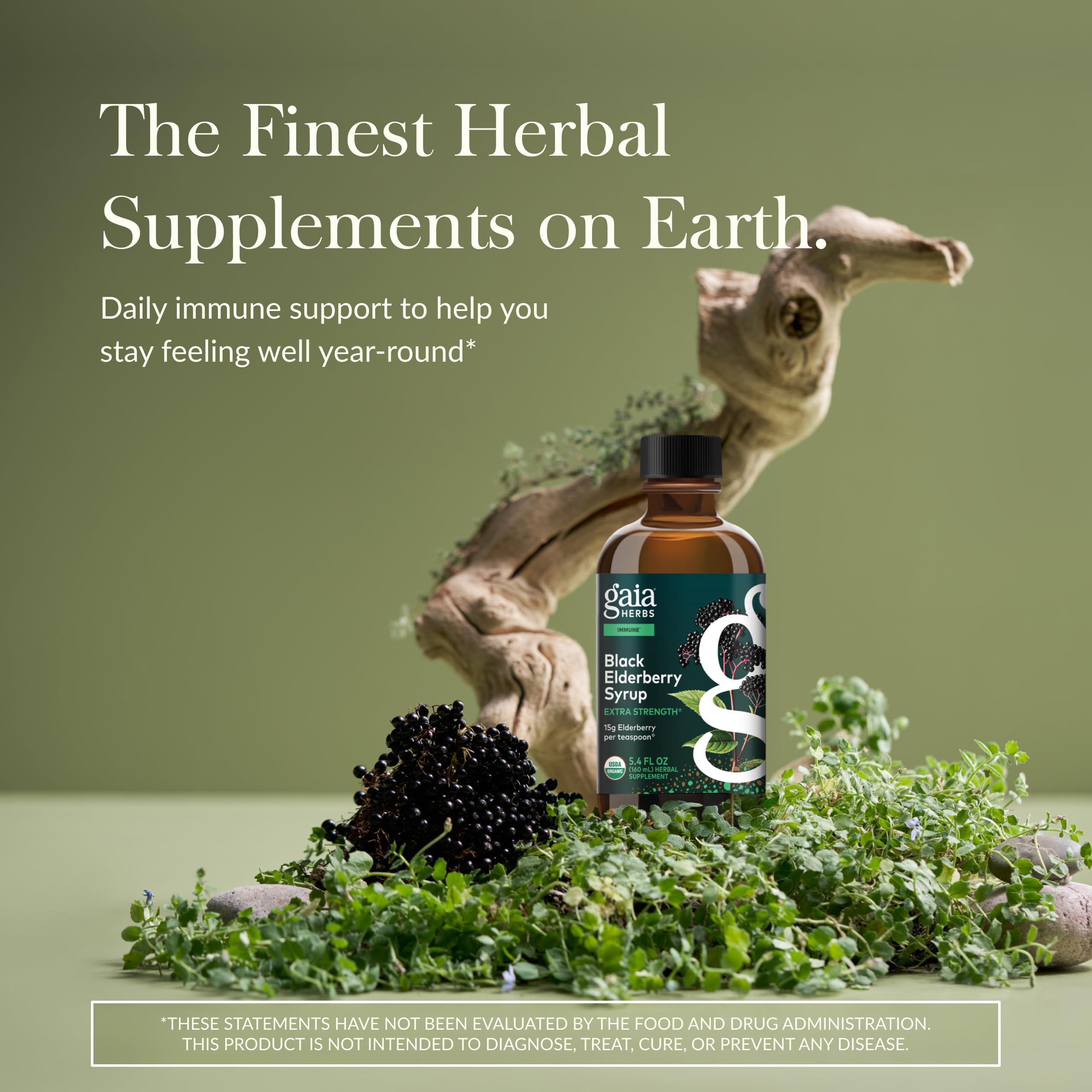 Gaia Herbs Elderberry Syrup 153g back view with ingredient list