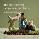 Gaia Herbs Elderberry Syrup 236g back view showing ingredients