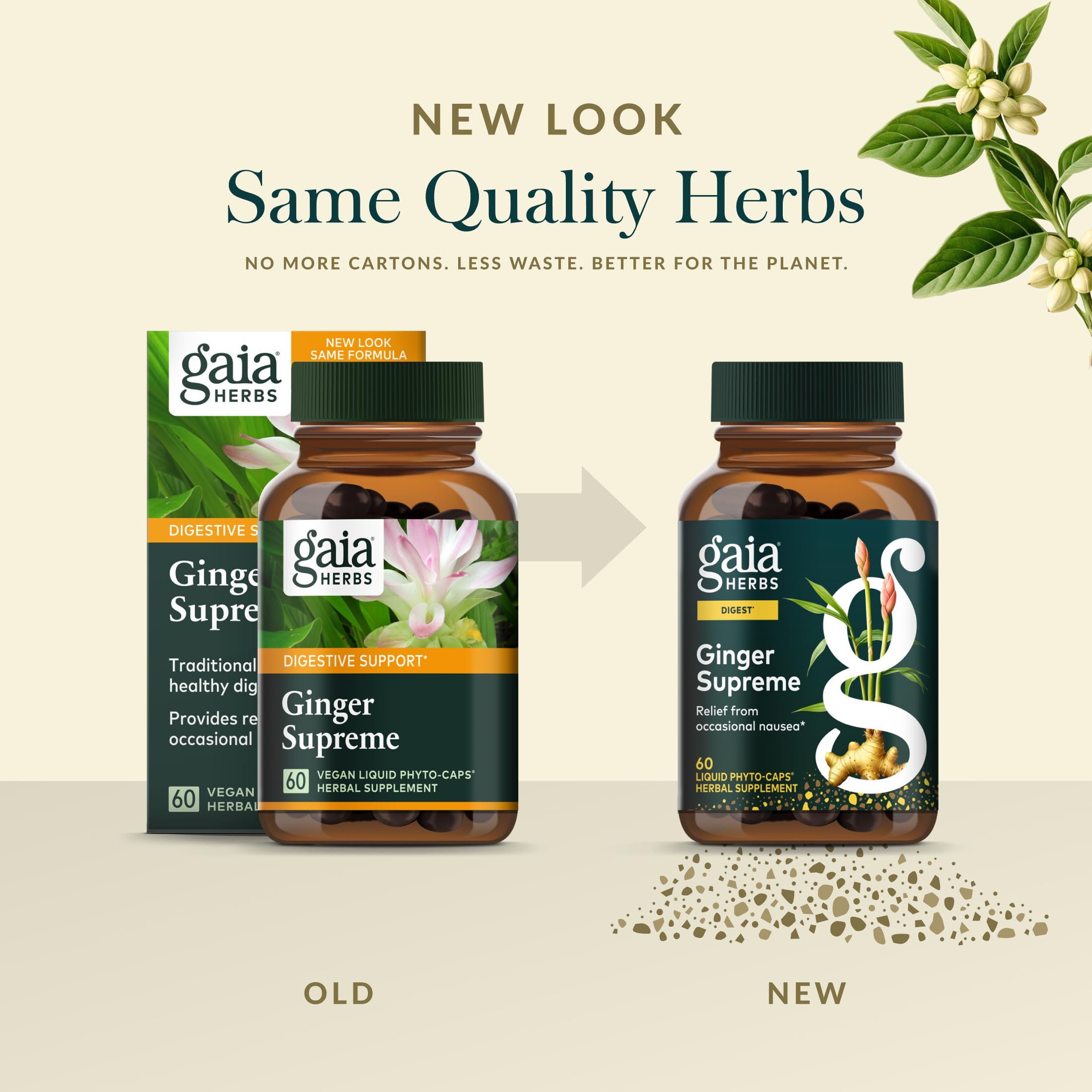 Gaia Herbs Ginger Herbal Supplement 168g back view