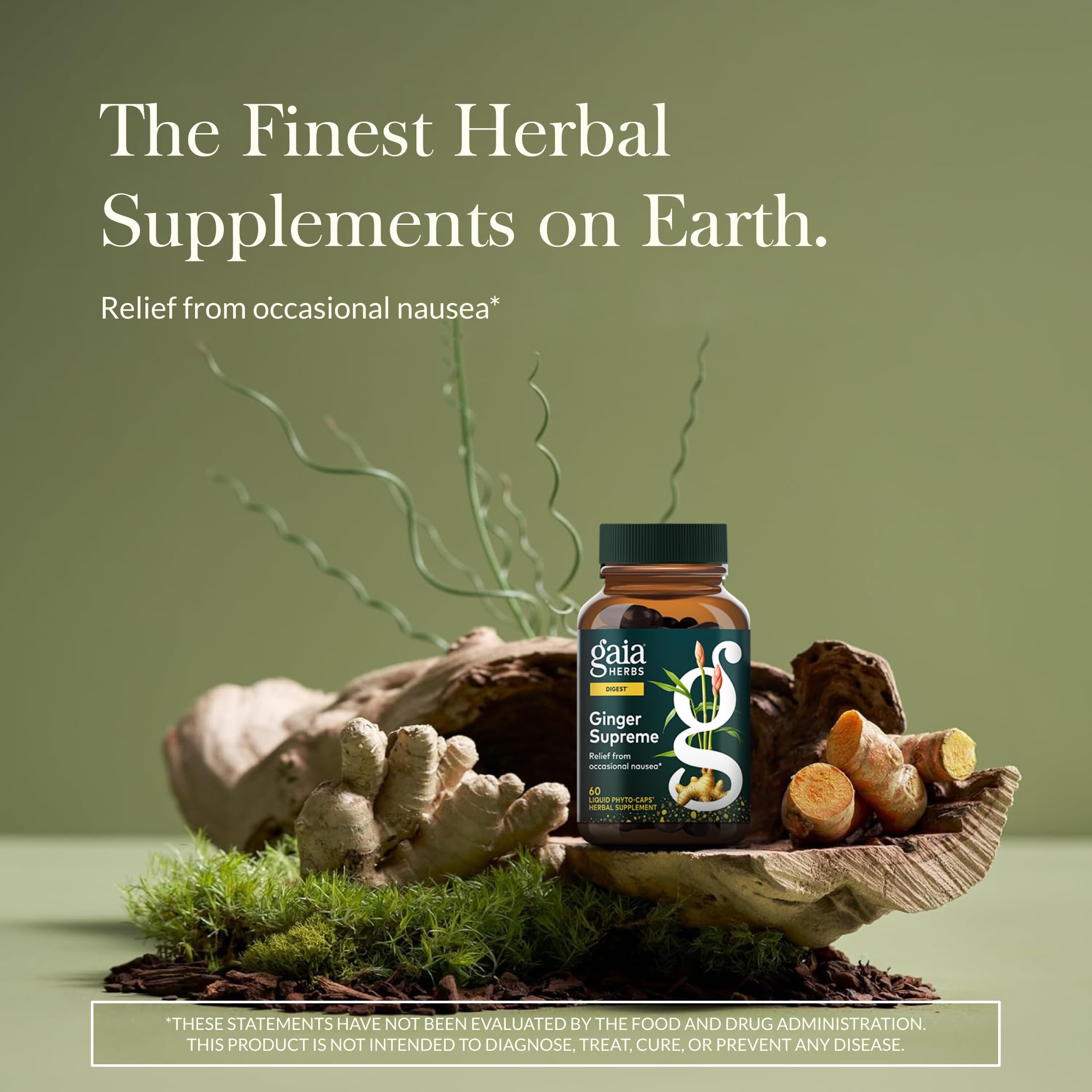 Gaia Herbs Ginger Herbal Supplement 168g side view