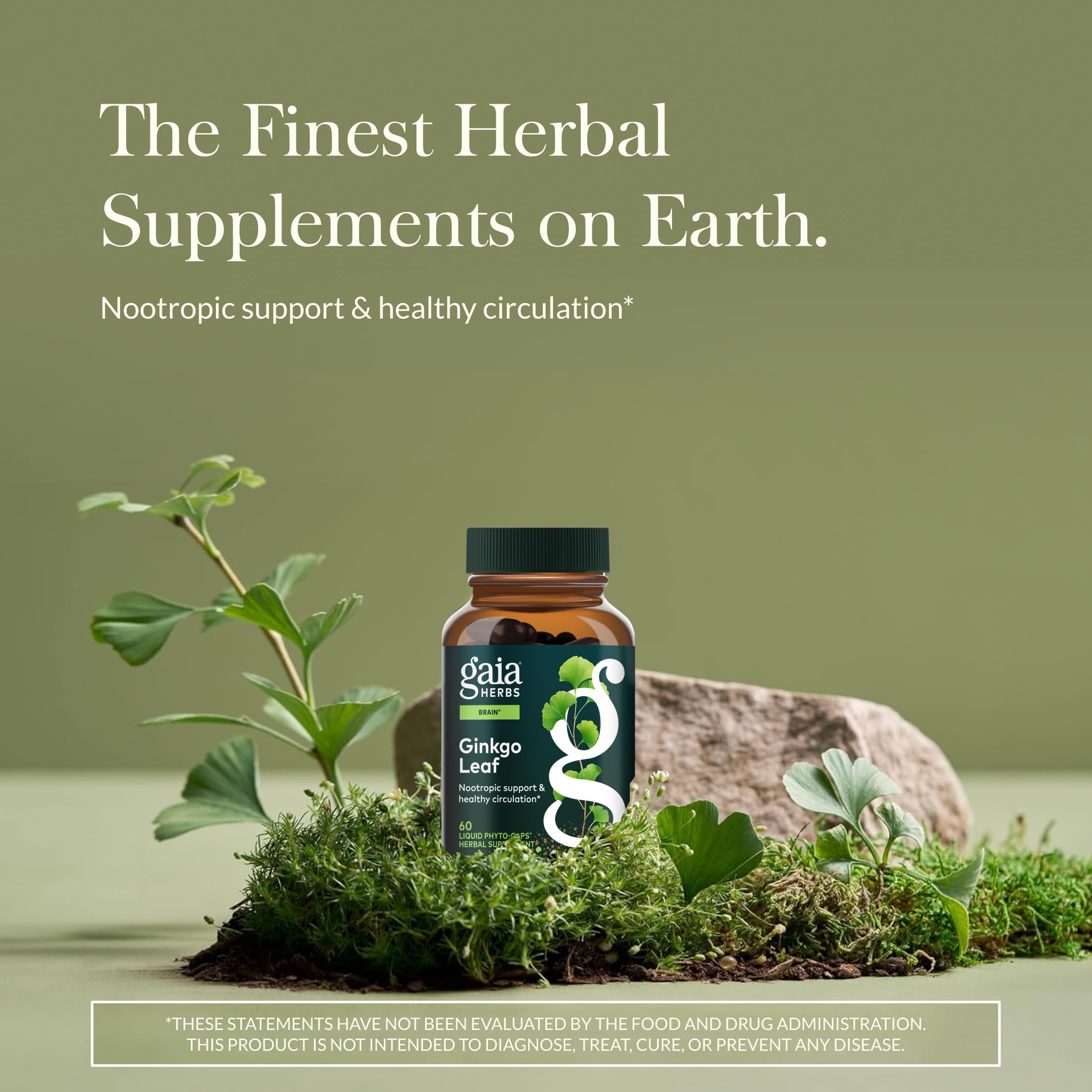 Gaia Herbs Ginkgo Biloba Capsules side view with label