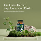 Gaia Herbs Ginkgo Biloba Capsules side view with label