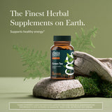 Gaia Herbs Green Tea Supplement capsules close-up