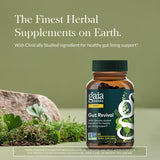 Gaia Herbs Gut Revival Herbal Supplement side view