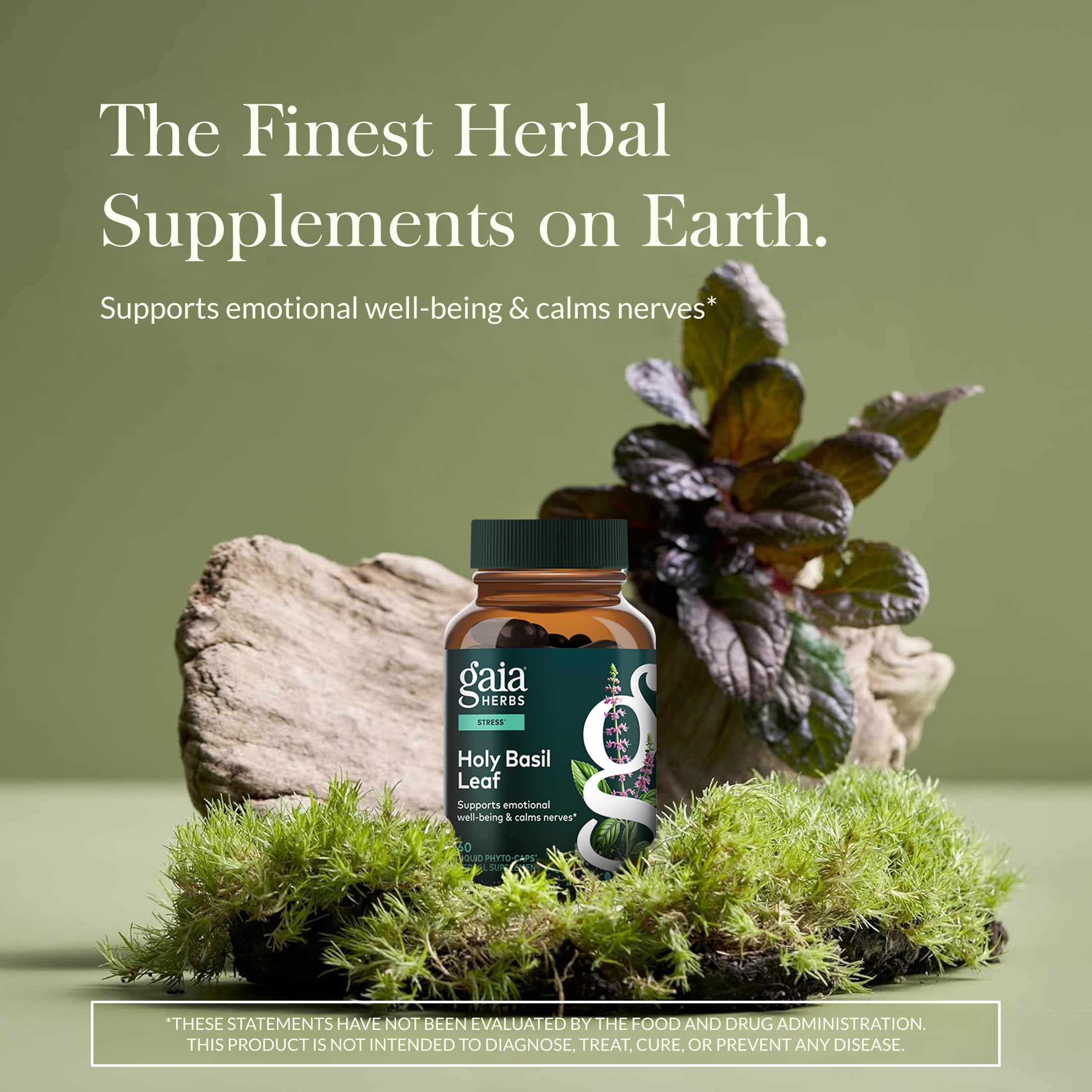 Gaia Herbs Holy Basil 177g side view of packaging