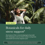 Gaia Herbs Holy Basil Supplement in a lifestyle setting