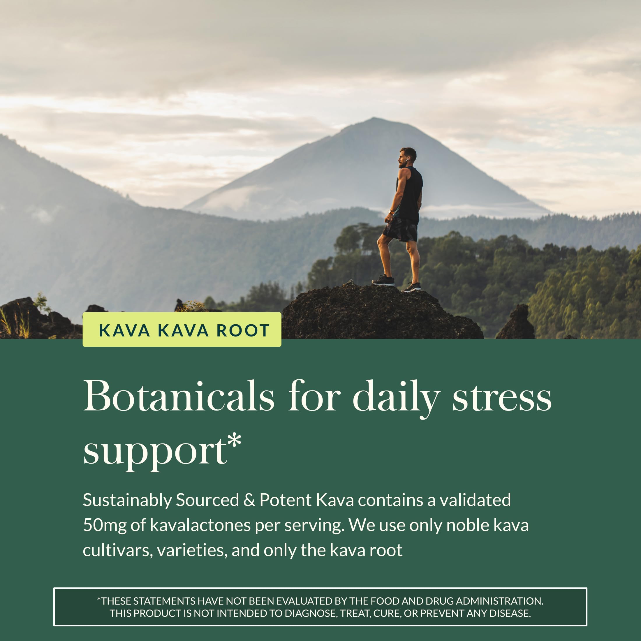 Gaia Herbs Kava Kava Root Supplement 85g label close-up