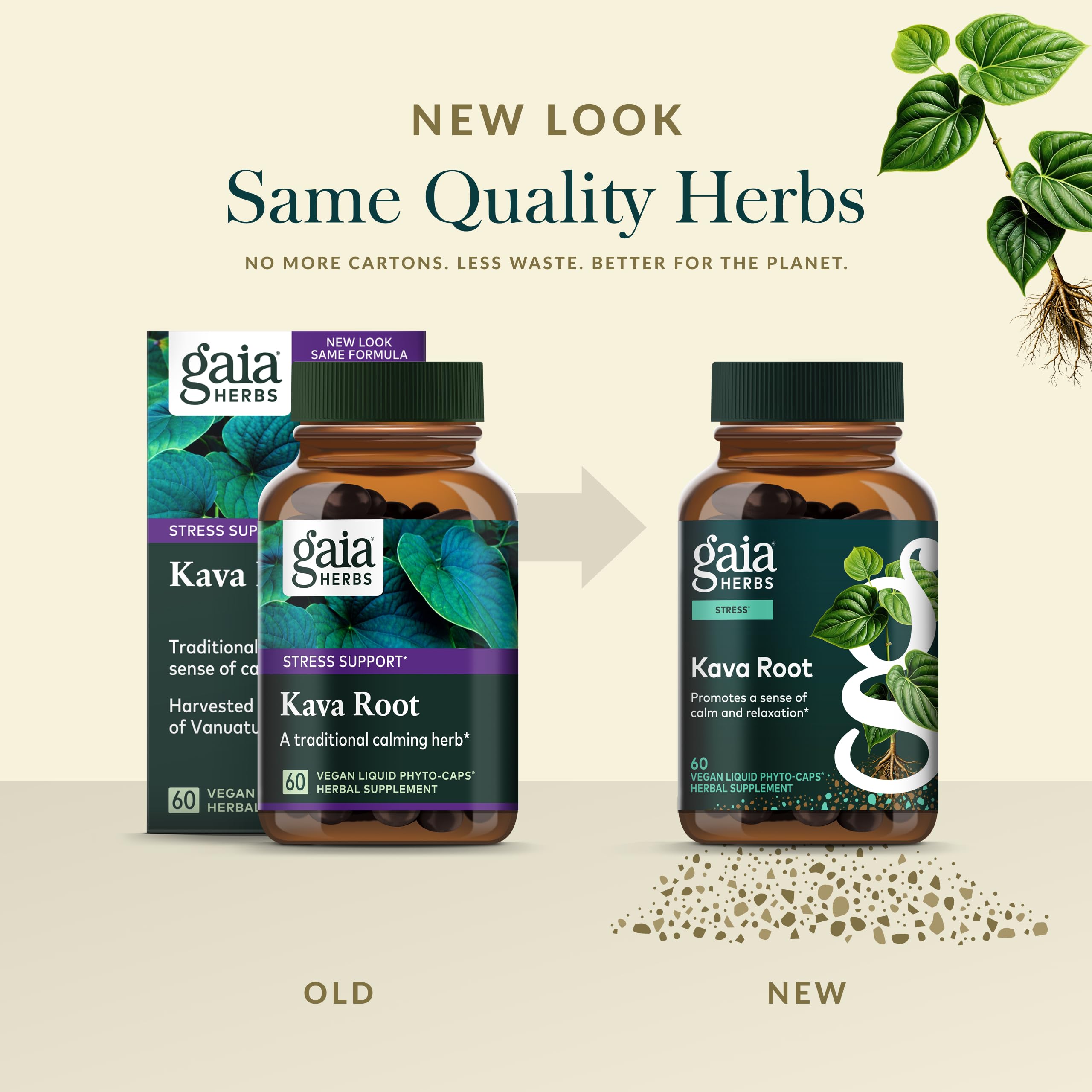 Gaia Herbs Kava Kava Supplement in a lifestyle setting