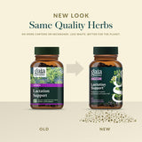 Gaia Herbs Lactation Support Supplement in a lifestyle setting