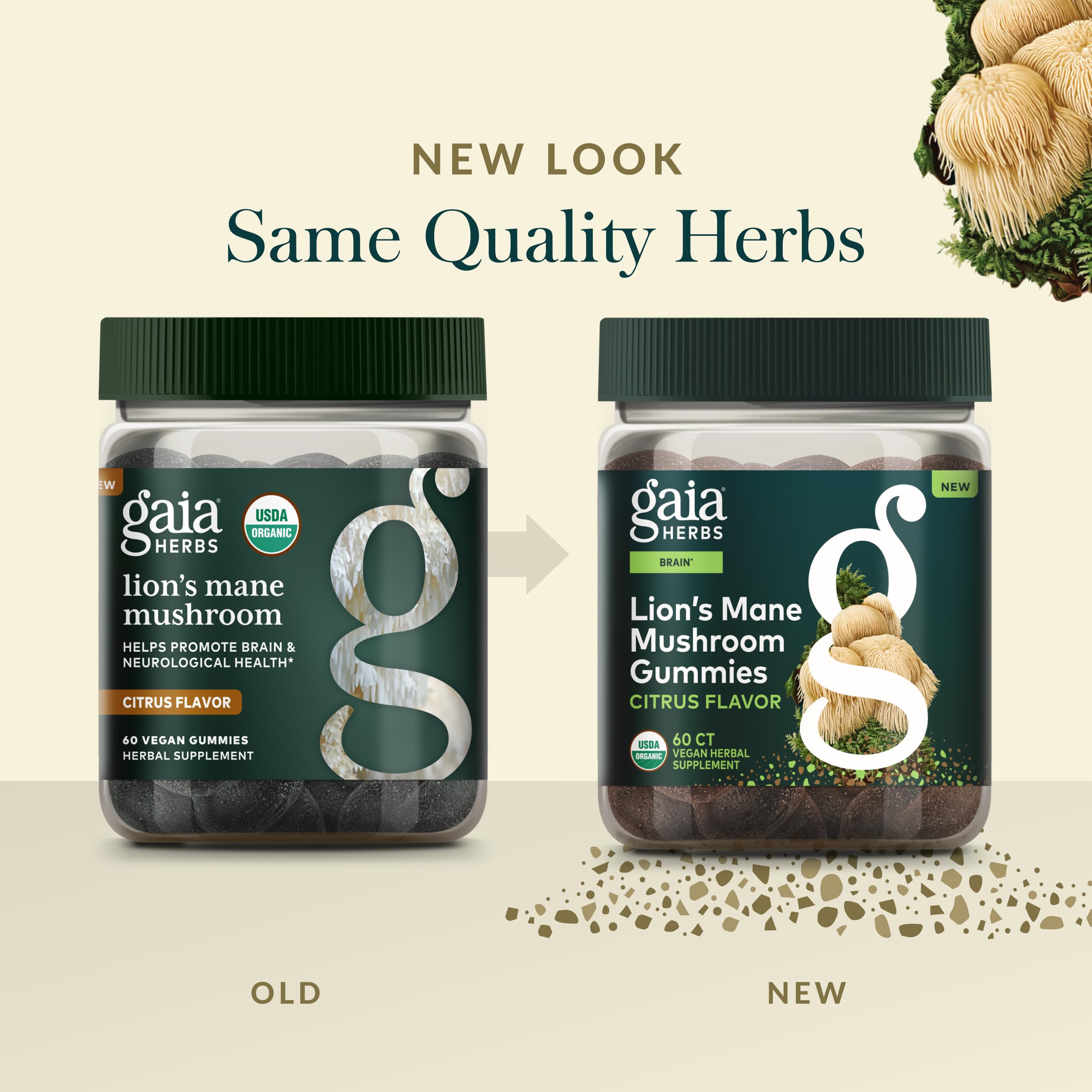 Gaia Herbs Lion's Mane Mushroom Gummies with fresh fruits