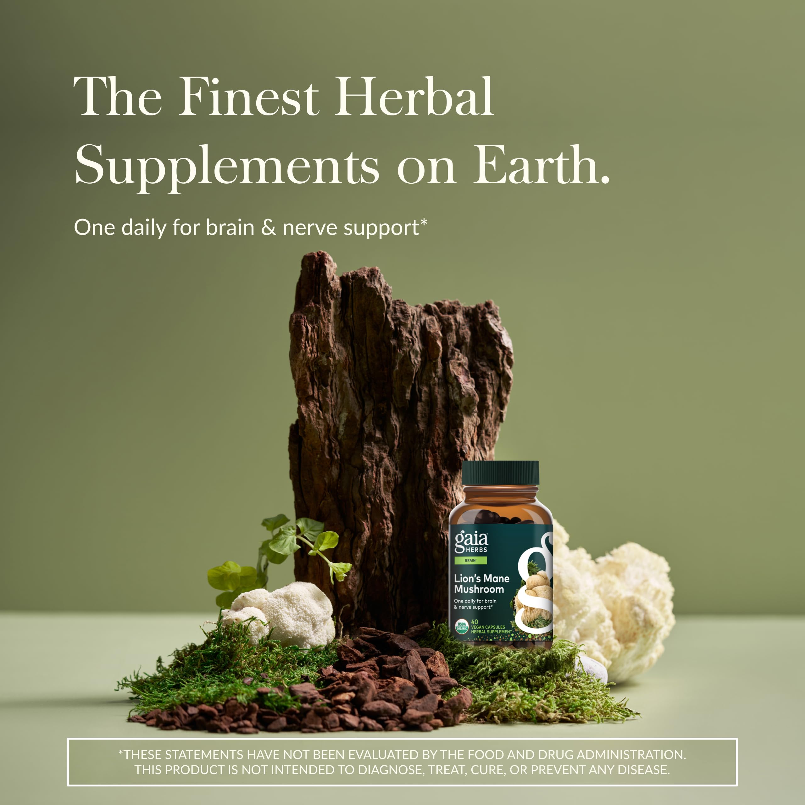 Gaia Herbs Lion's Mane Mushroom Supplement 450mg capsules side view