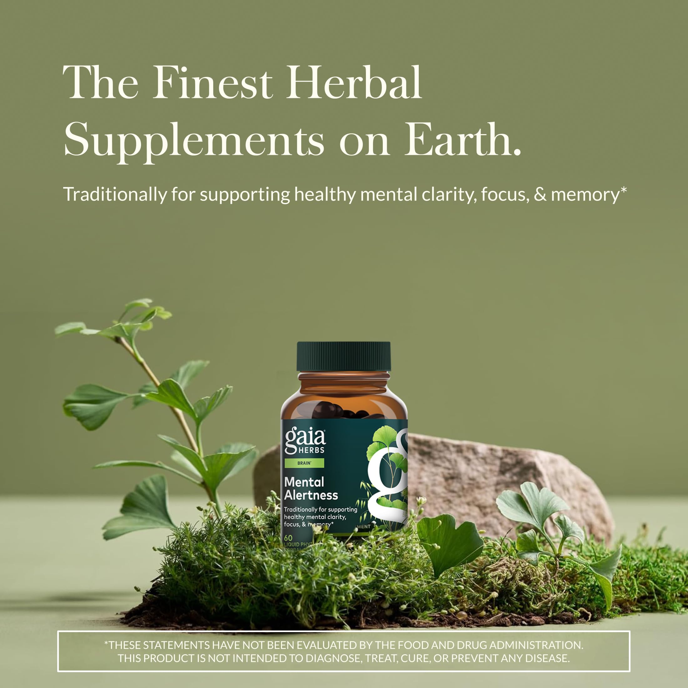Gaia Herbs Mental Alertness Ginkgo Biloba Supplement side view