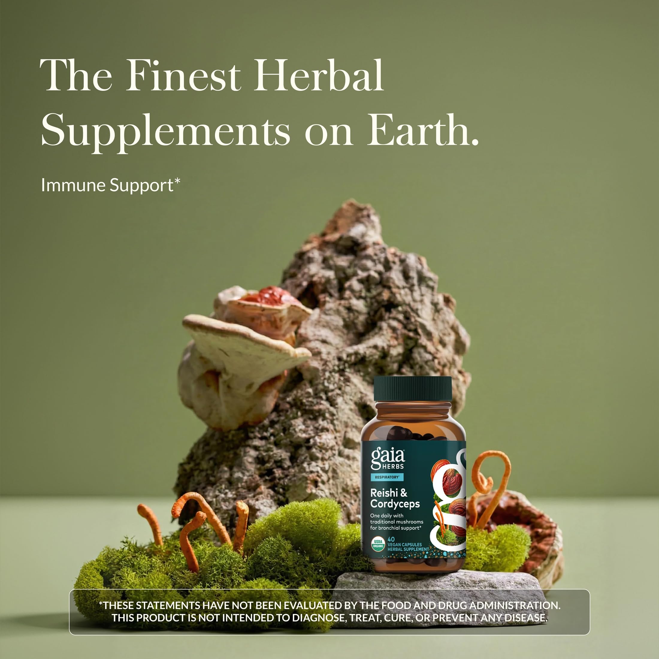Gaia Herbs Mushroom Supplement capsule close-up