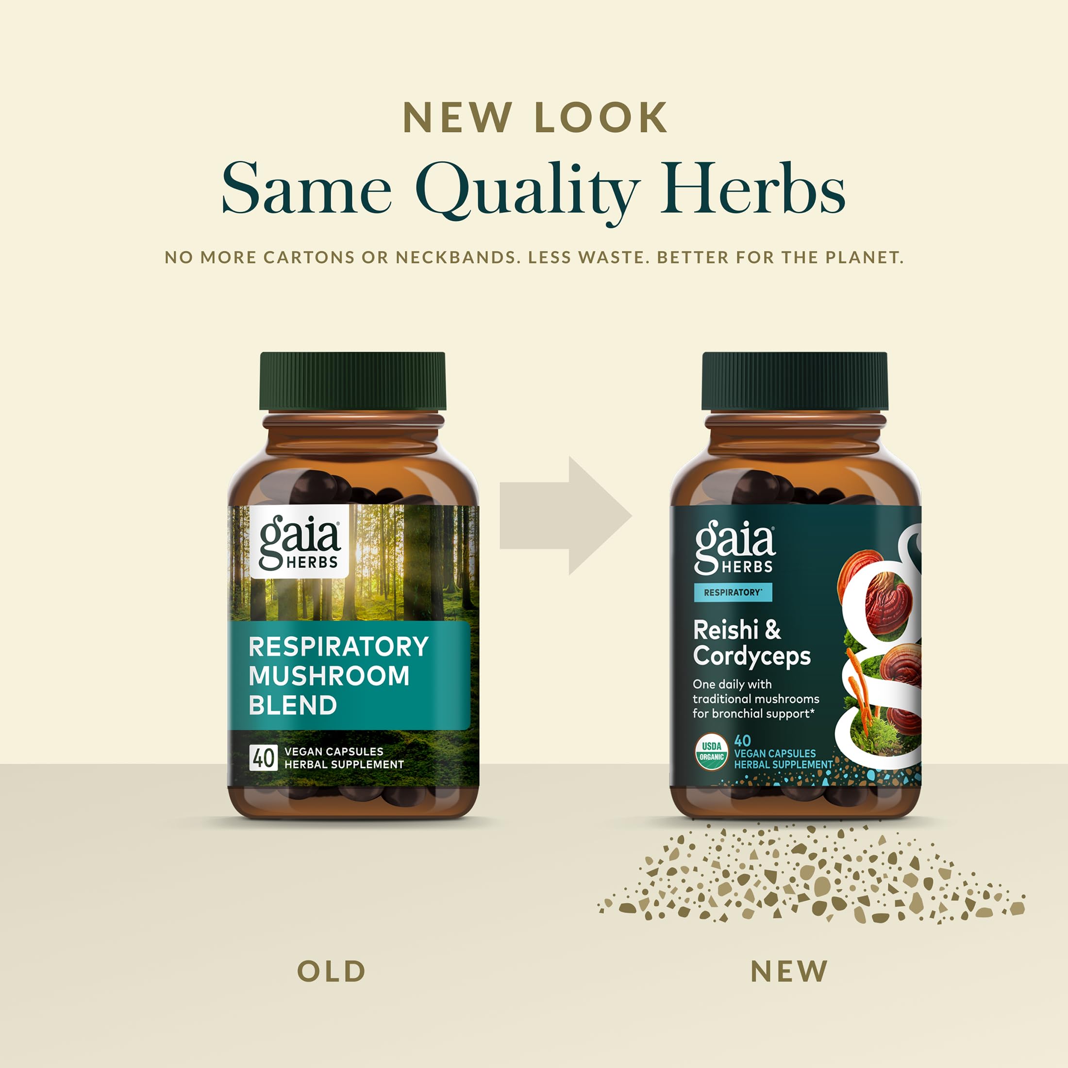 Gaia Herbs Mushroom Supplement lifestyle scene on a kitchen counter