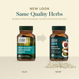 Gaia Herbs Mushroom Supplement lifestyle scene on a kitchen counter