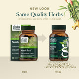 Gaia Herbs Nettle Leaf Capsules lifestyle scene on table