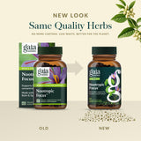 Gaia Herbs Nootropic Focus capsules in a bowl
