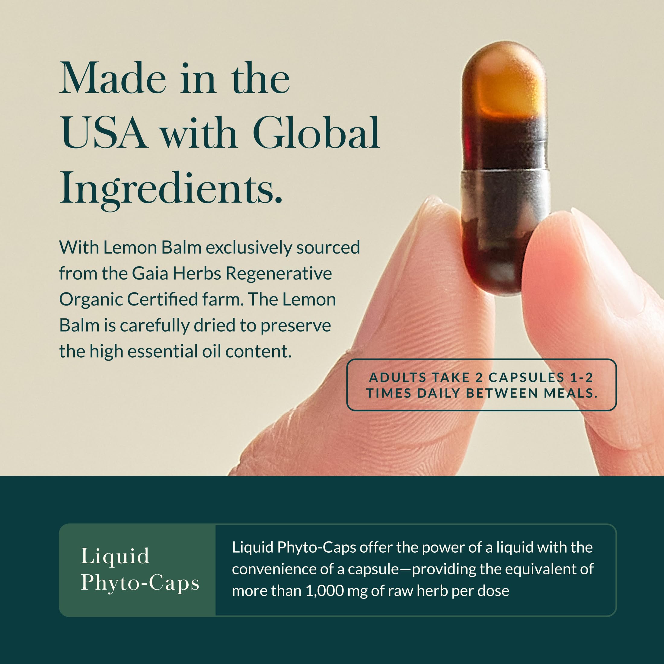 Gaia Herbs Nootropic Focus ingredients list on packaging