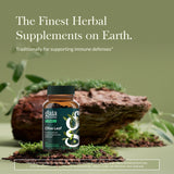 Gaia Herbs Olive Leaf Extract bottle side view