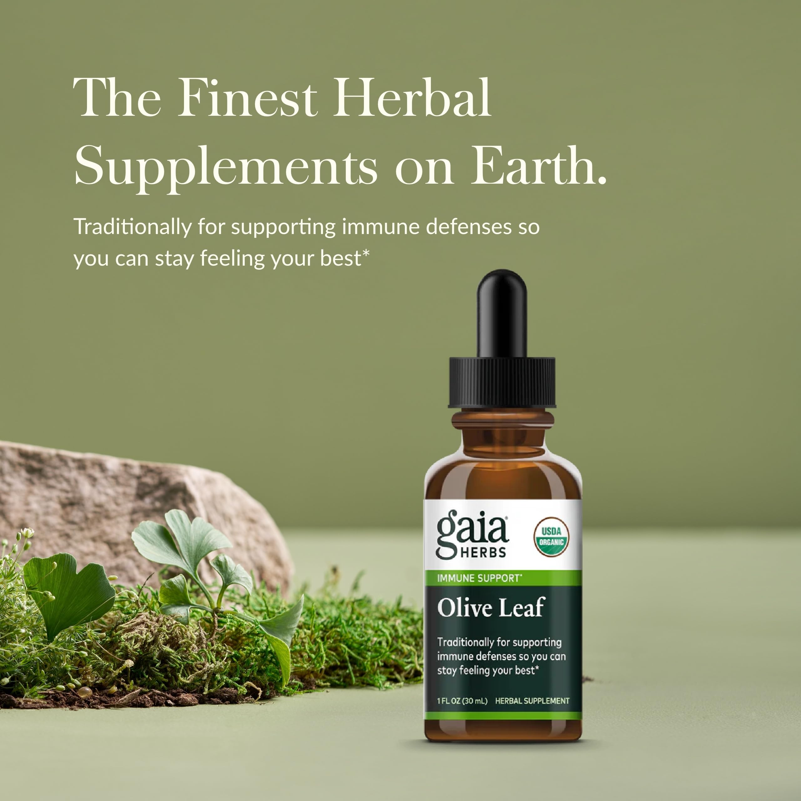 Gaia Herbs Olive Leaf Liquid Extract 82g bottle side view