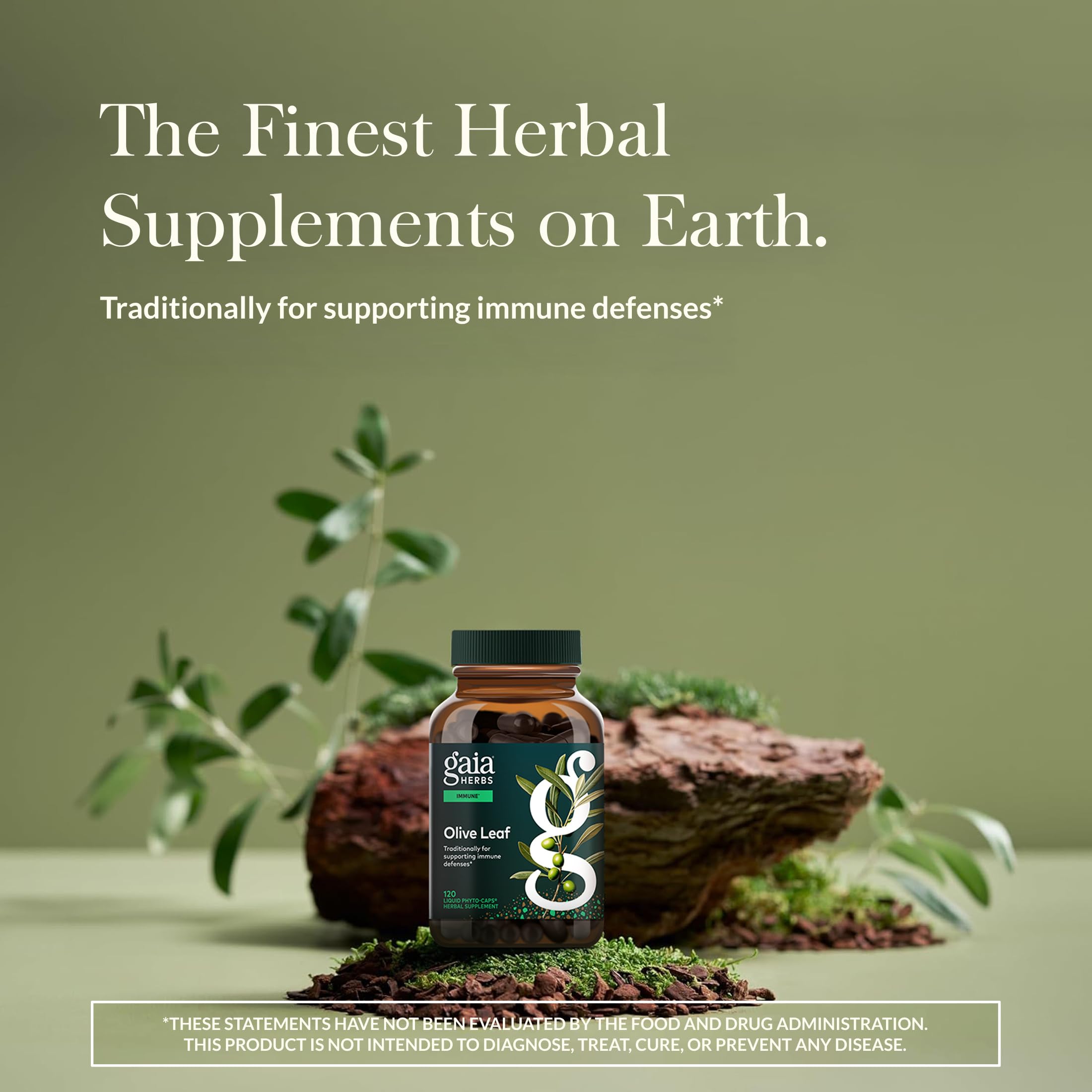 Gaia Herbs Olive Leaf Supplement 254g side view