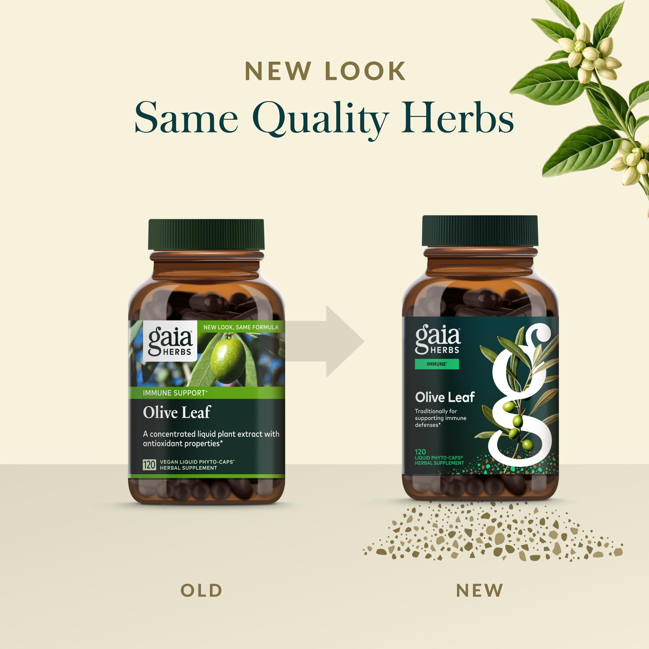 Gaia Herbs Olive Leaf Supplement on a wooden table