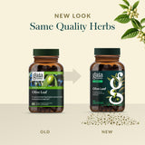 Gaia Herbs Olive Leaf Supplement on a wooden table
