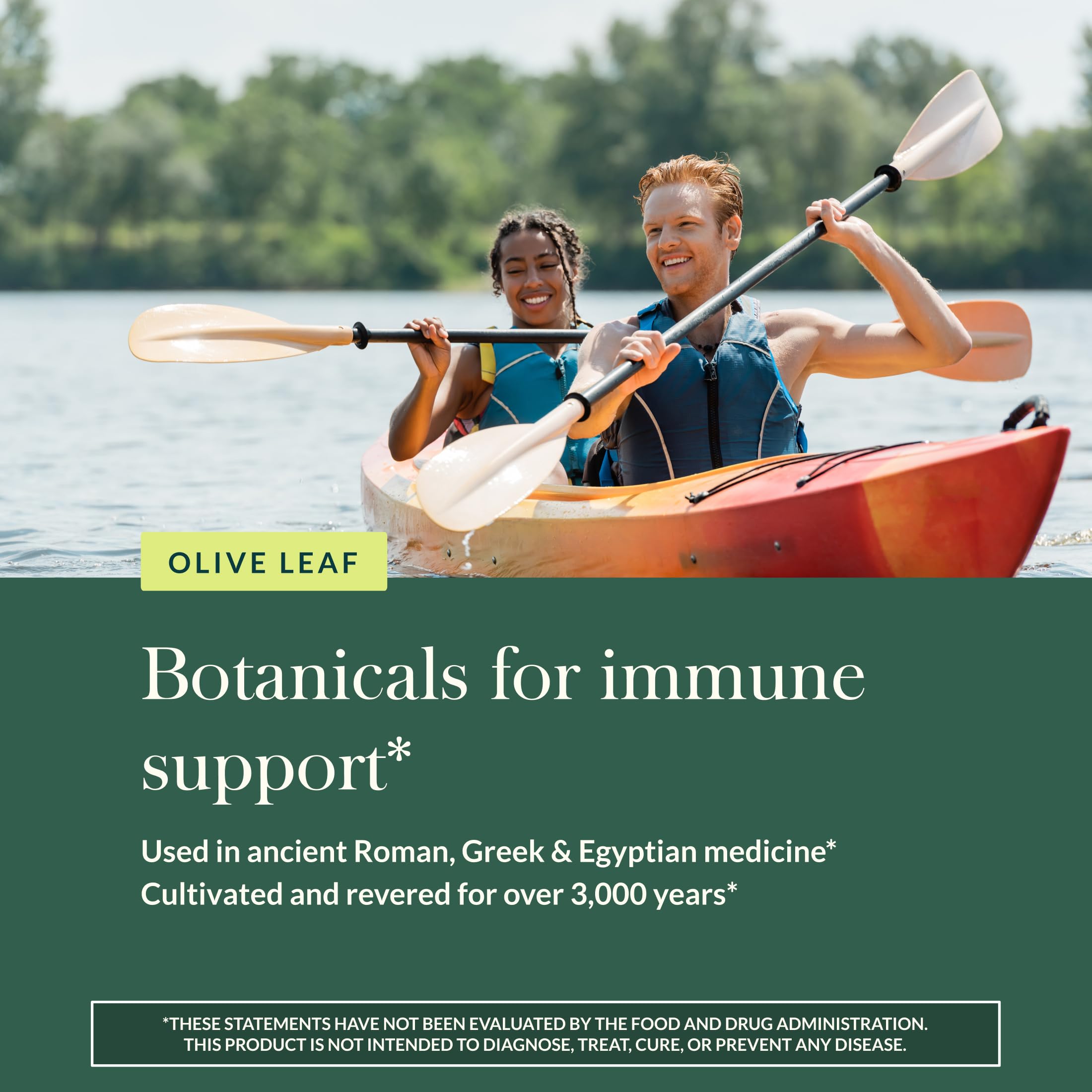 Gaia Herbs Olive Leaf Supplement packaging details