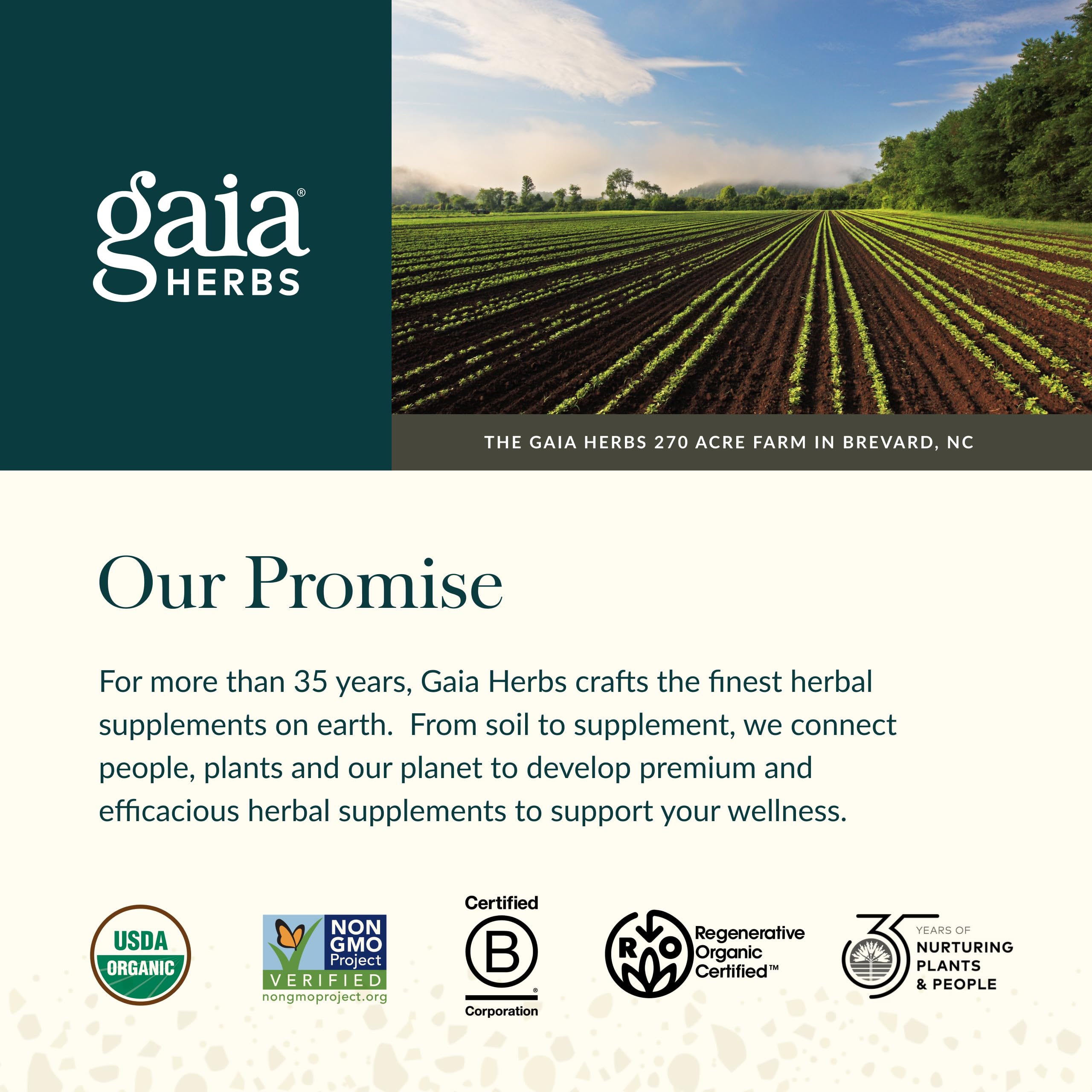 Gaia Herbs Organic Ginger Gummies nutritional information