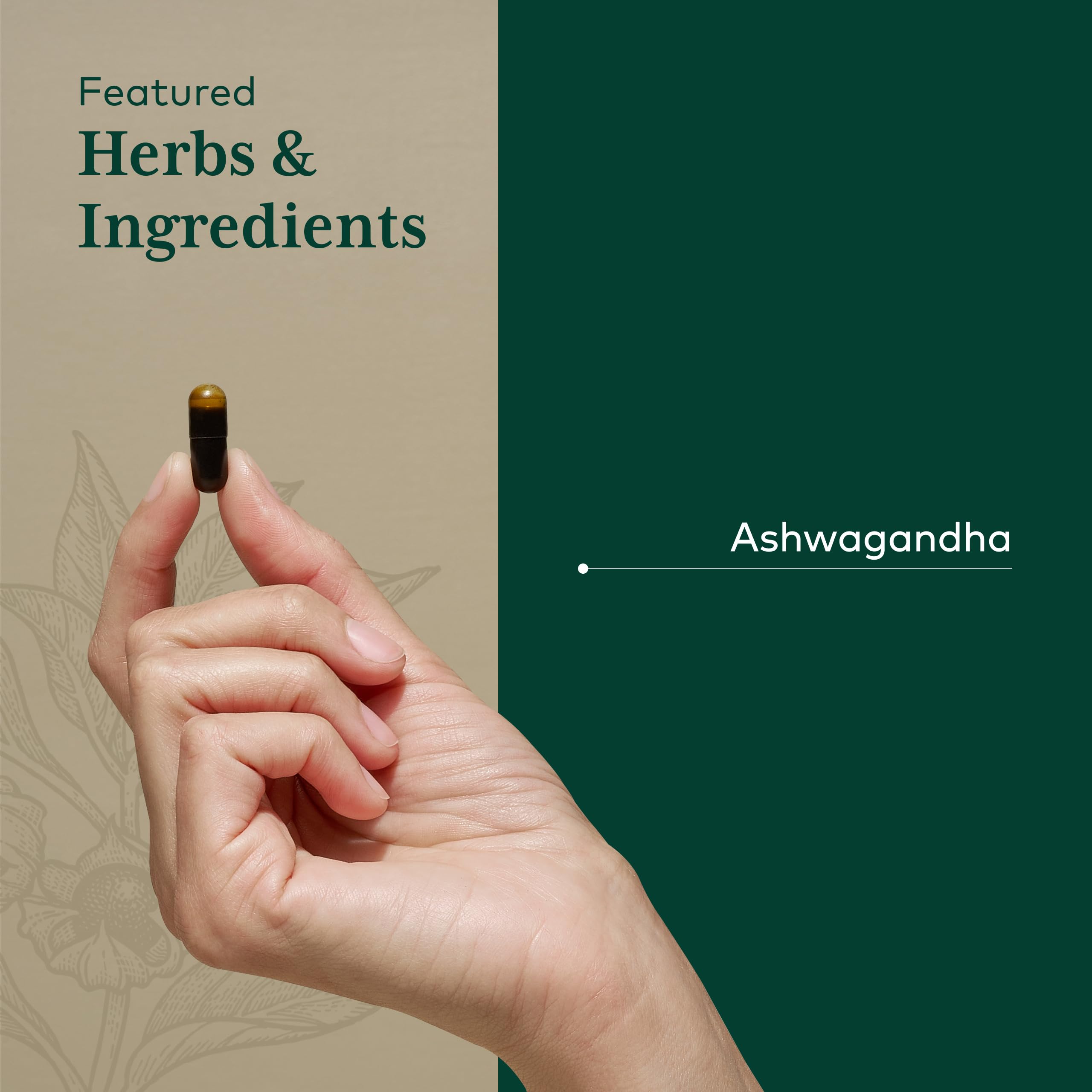 Gaia Herbs PRO Ashwagandha Supplement on a wooden table