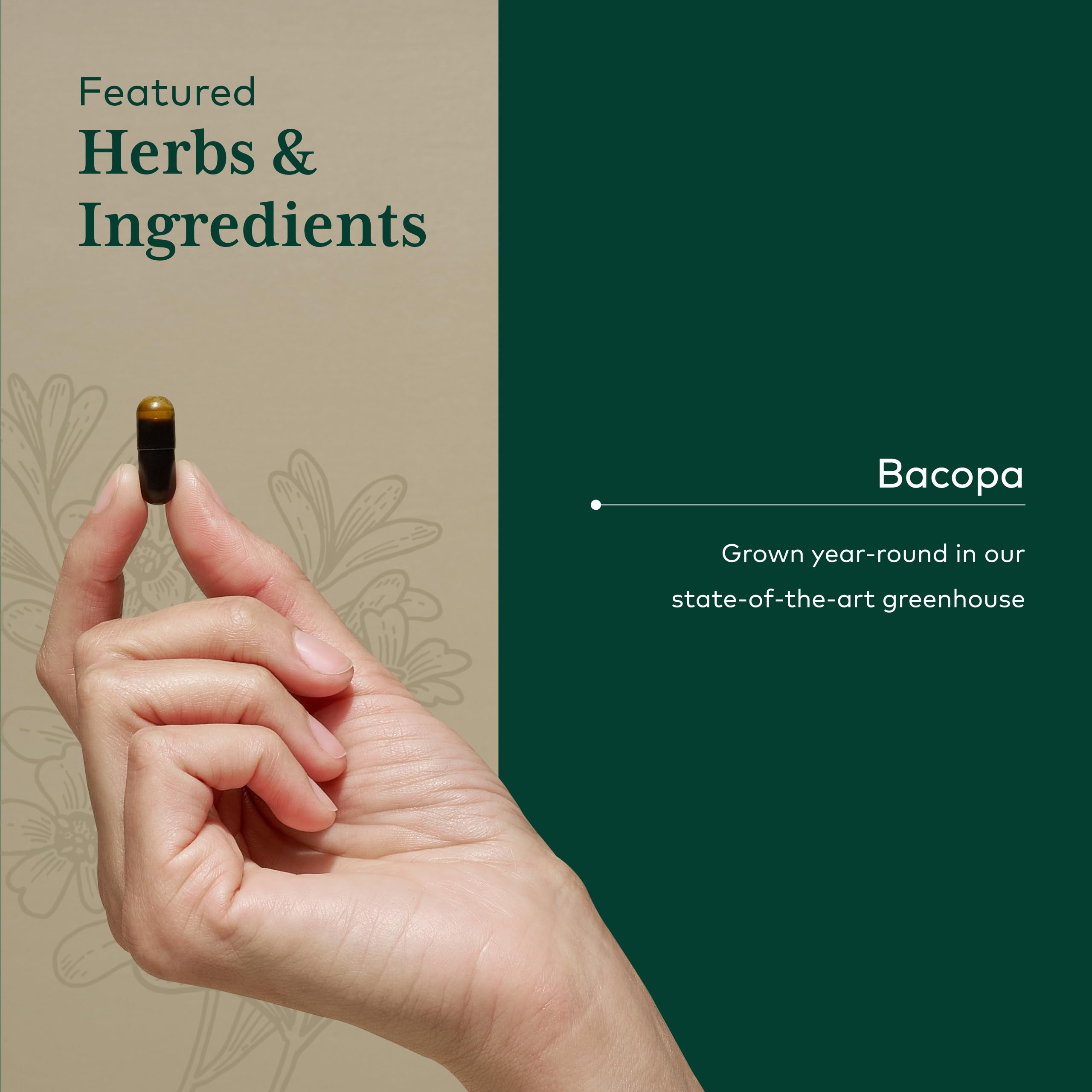 Gaia Herbs PRO Bacopa Monnieri 350mg supplement with packaging
