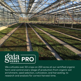 Gaia Herbs PRO Berberine Supplement 500mg lifestyle scene