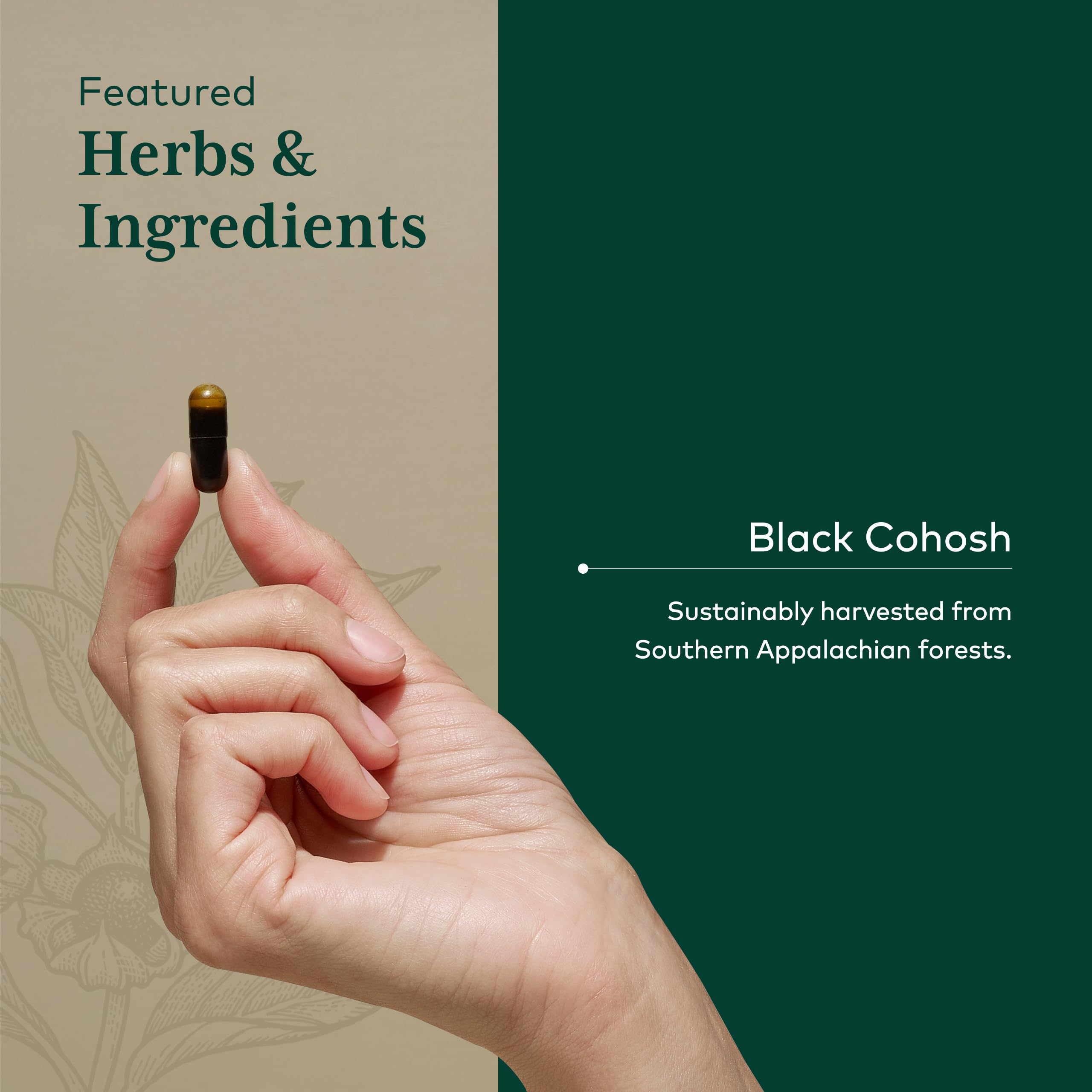 GAIA HERBS PRO Black Cohosh Herbal Supplement capsules close-up