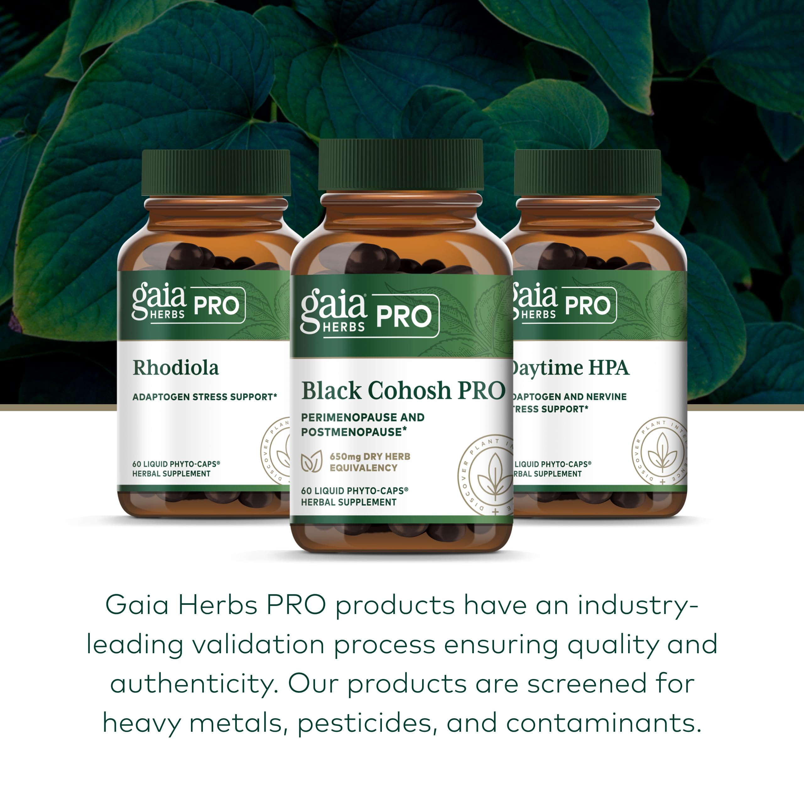 GAIA HERBS PRO Black Cohosh Herbal Supplement on wooden table