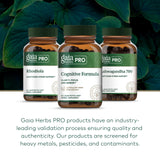 Gaia Herbs PRO Brain Health Support Supplement lifestyle scene