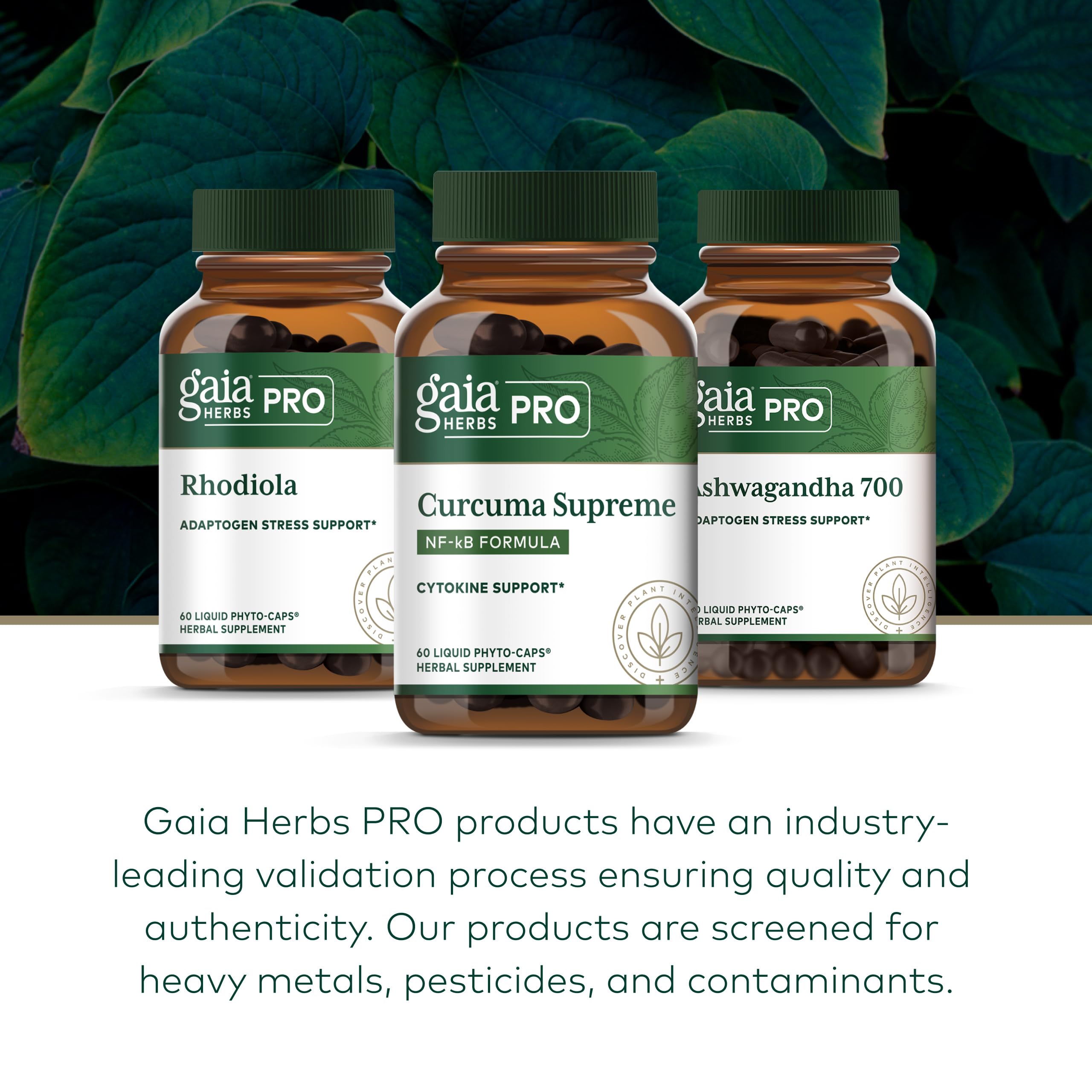 Gaia Herbs PRO Curcuma Turmeric Supplement lifestyle shot