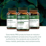 Gaia Herbs PRO Curcuma Turmeric Supplement lifestyle shot