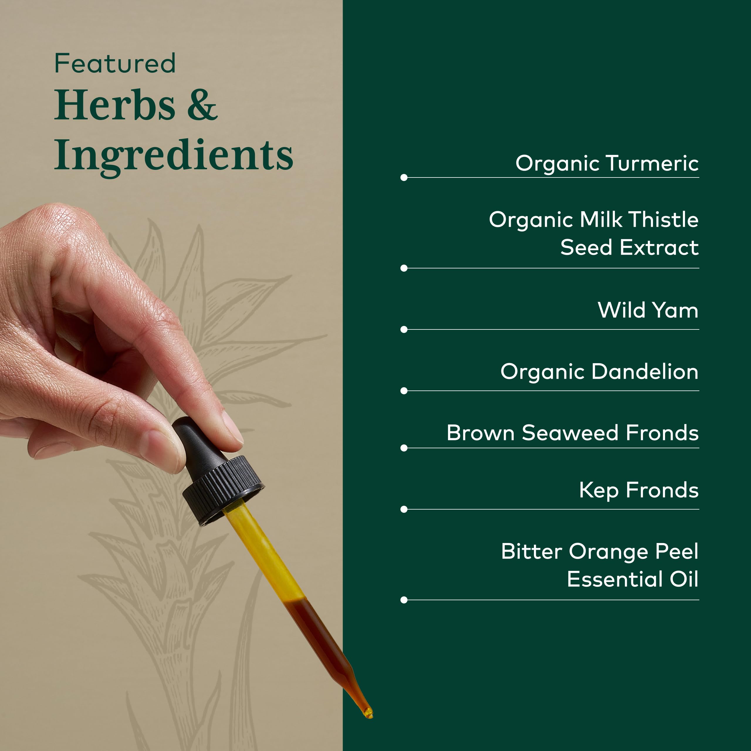 Gaia Herbs Pro daily Bitters with Turmeric ingredients list