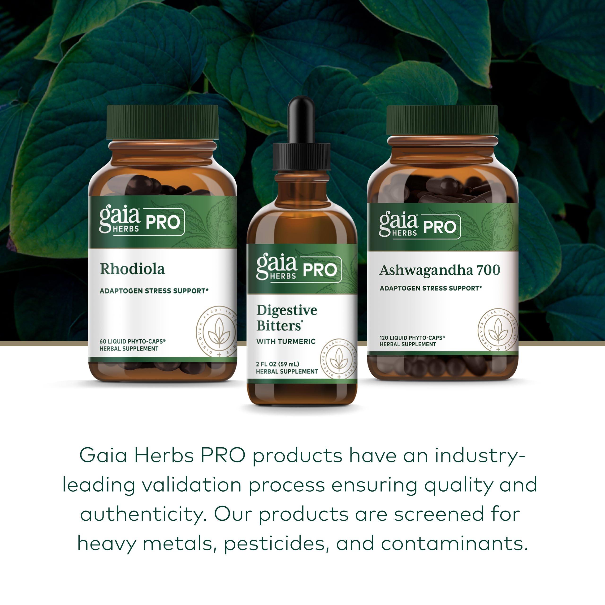 Gaia Herbs Pro daily Bitters with Turmeric with fresh herbs