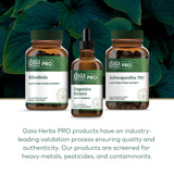 Gaia Herbs Pro daily Bitters with Turmeric with fresh herbs